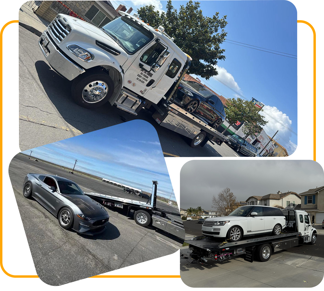 Suffered Success Business Solutions.